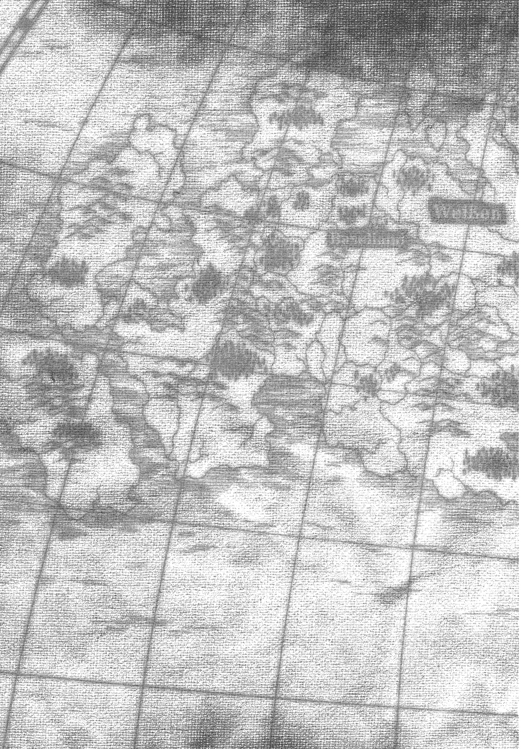 巴尔扎的军靴【1-123话 85-123是生肉】【軍靴のバルツァー／巴爾札的軍靴】-2