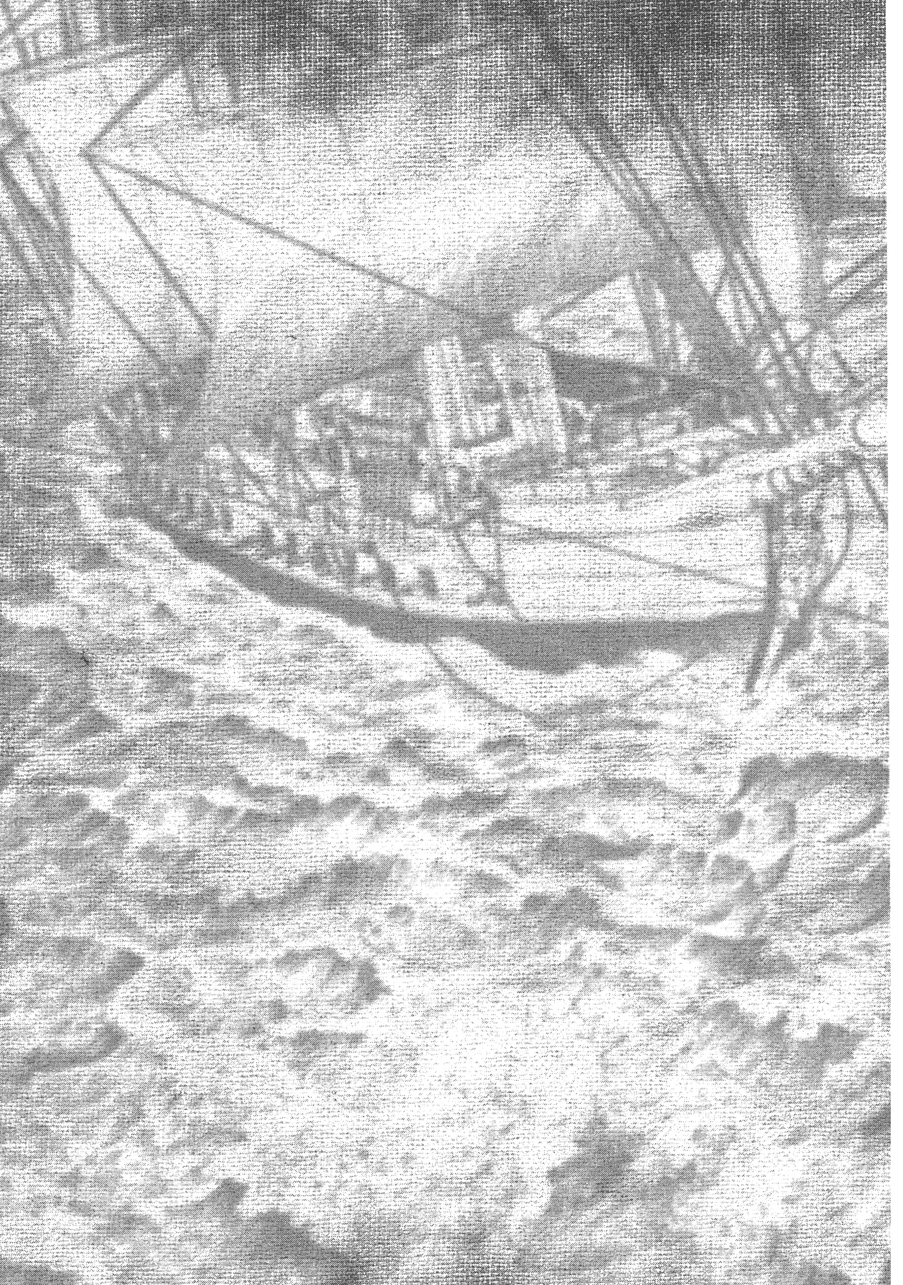 巴尔扎的军靴【1-123话 85-123是生肉】【軍靴のバルツァー／巴爾札的軍靴】-4