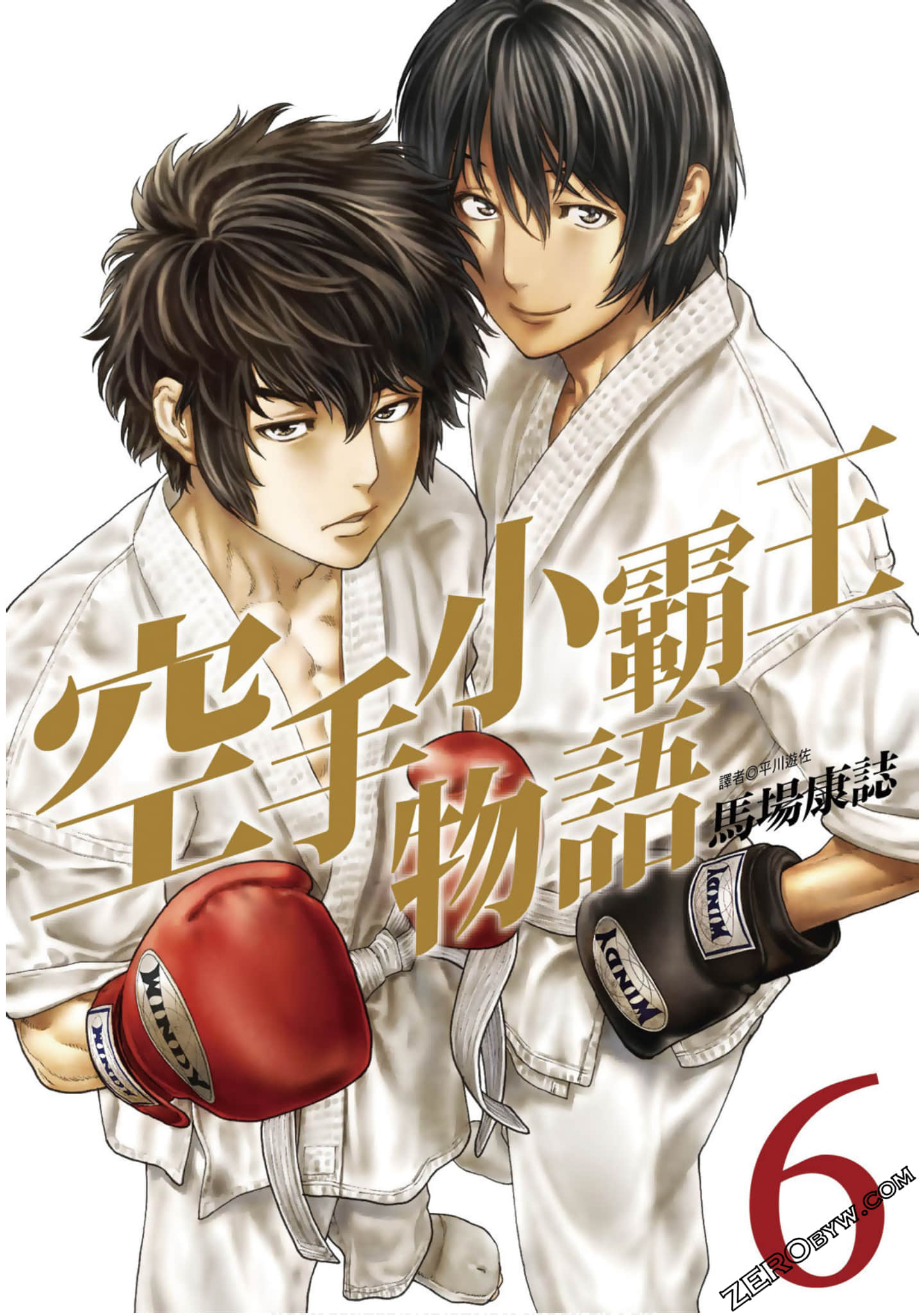 空手小霸王物语【1-6卷 全是中文】【已完结】