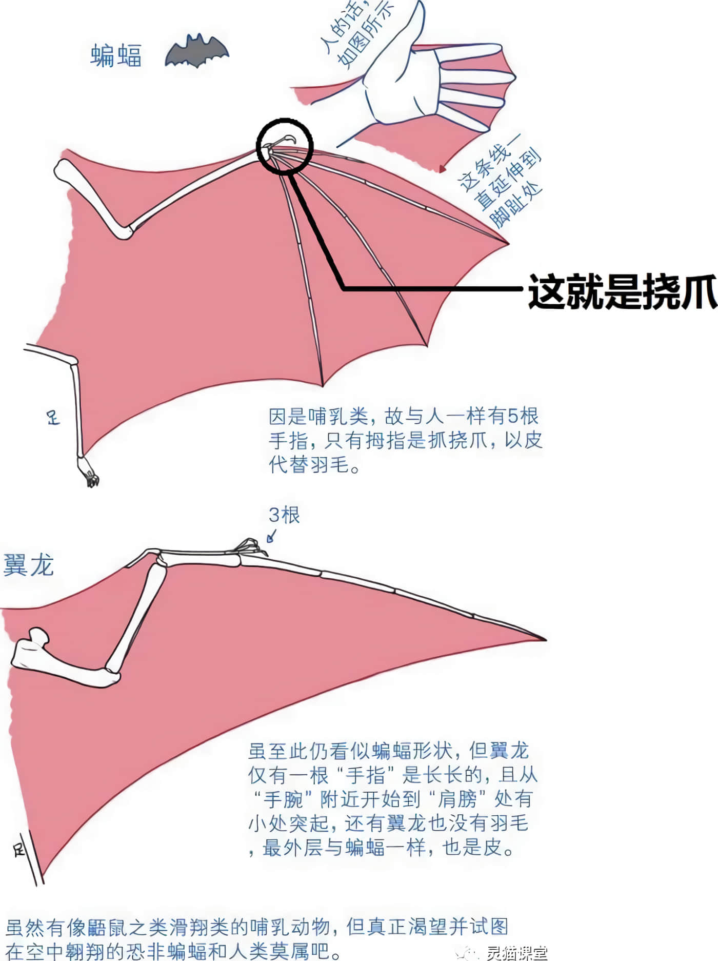 科学存在的人外娘观察日记【1-102话 45-102是生肉】【科学的に存在しうるクリーチャー娘の観察日誌／存在科學可能性的生物少女觀察日記】-1