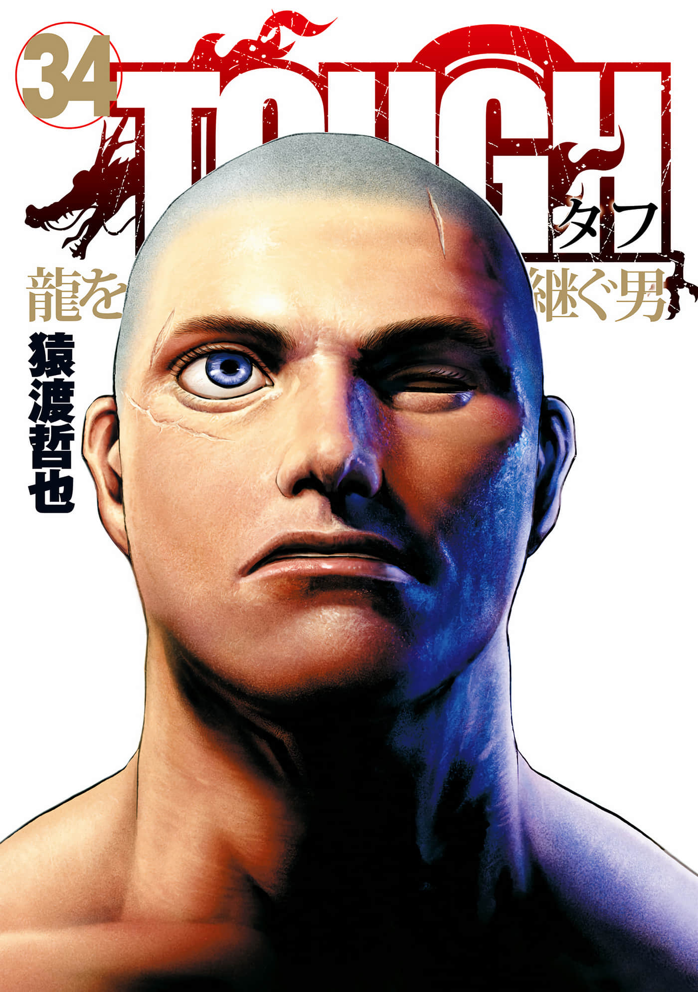 滩神影流 龙之继承者【1-407话 228-407是生肉】【TOUGH 龍を継ぐ男】