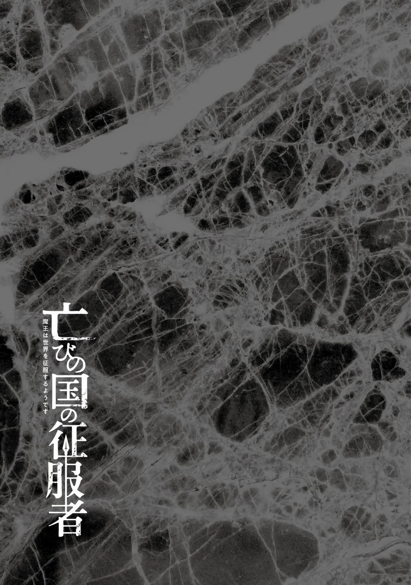 亡国的征服者【1-37话 6-37是生肉】【亡びの国の征服者】-6-10