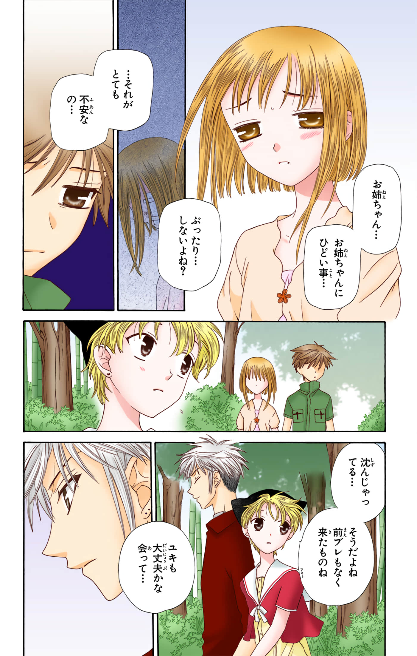 水果篮子 全彩【1-23卷 2-23是生肉 第1卷是文本替换】【フルーツバスケット／魔法水果籃】【已完结】-10