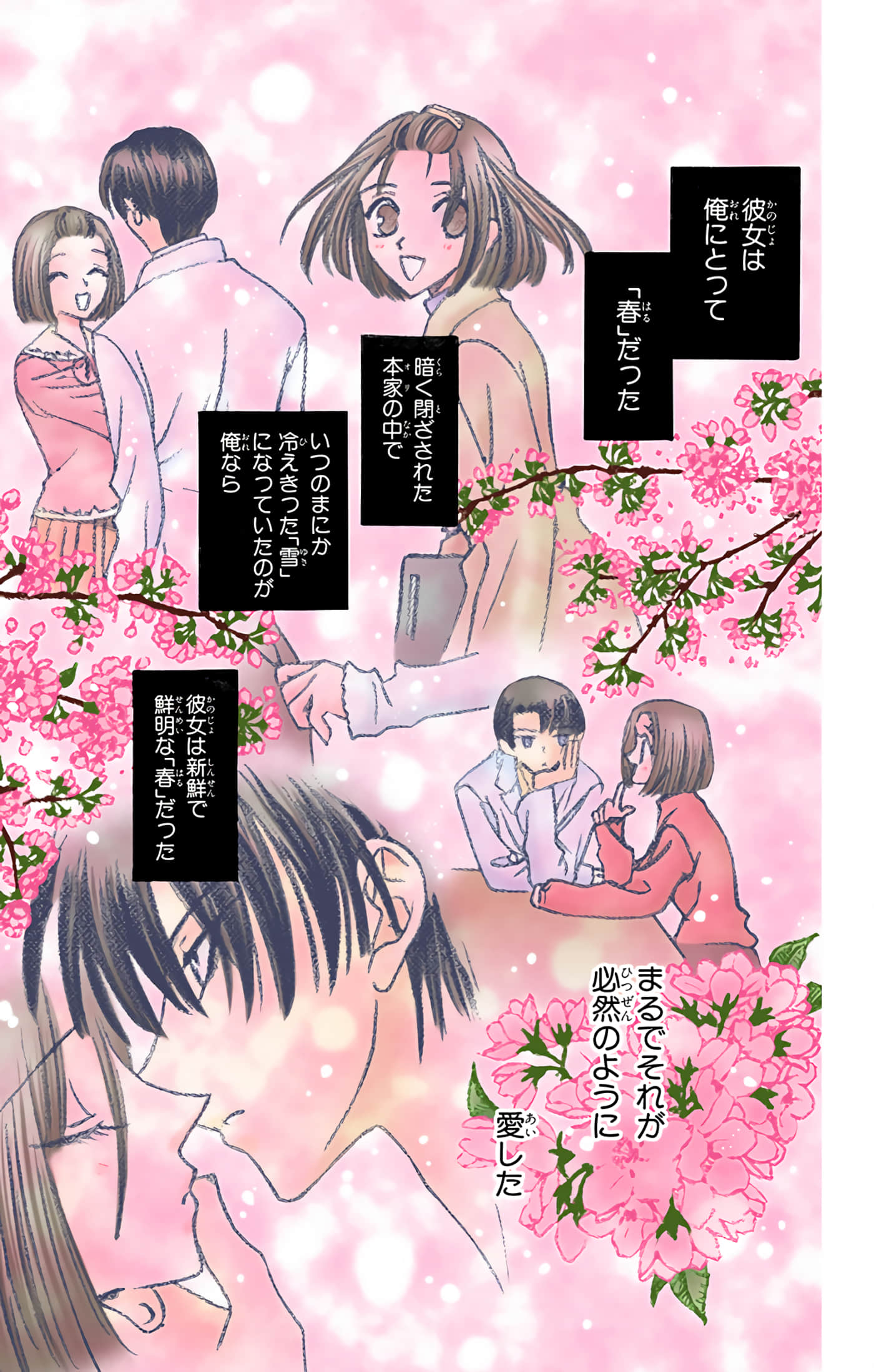 水果篮子 全彩【1-23卷 2-23是生肉 第1卷是文本替换】【フルーツバスケット／魔法水果籃】【已完结】-2