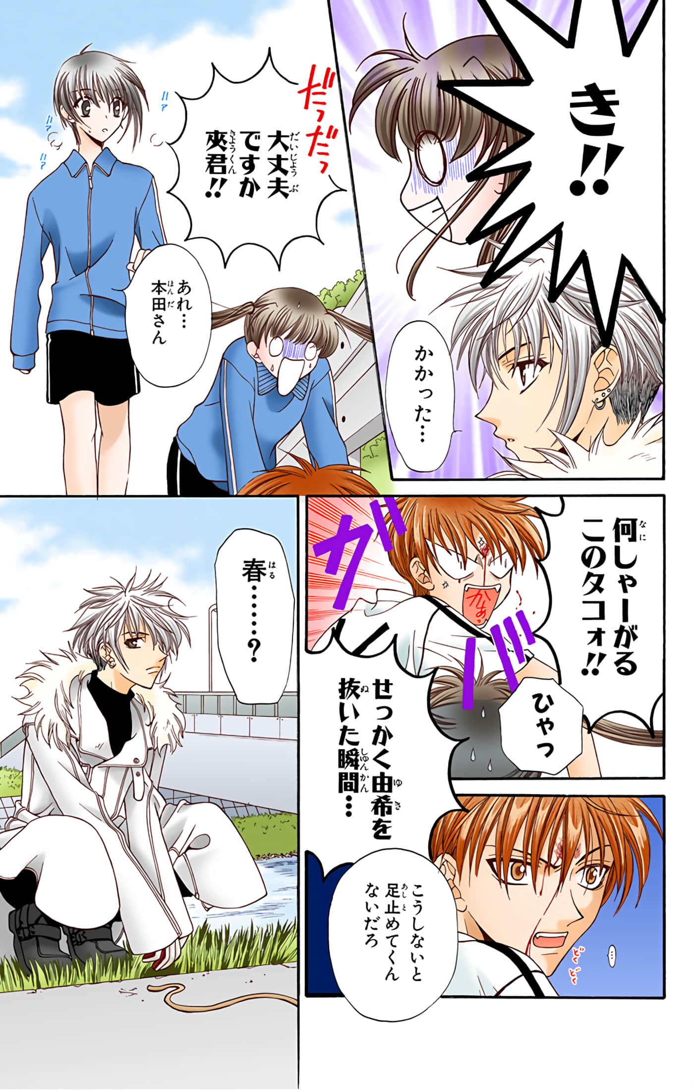 水果篮子 全彩【1-23卷 2-23是生肉 第1卷是文本替换】【フルーツバスケット／魔法水果籃】【已完结】-3