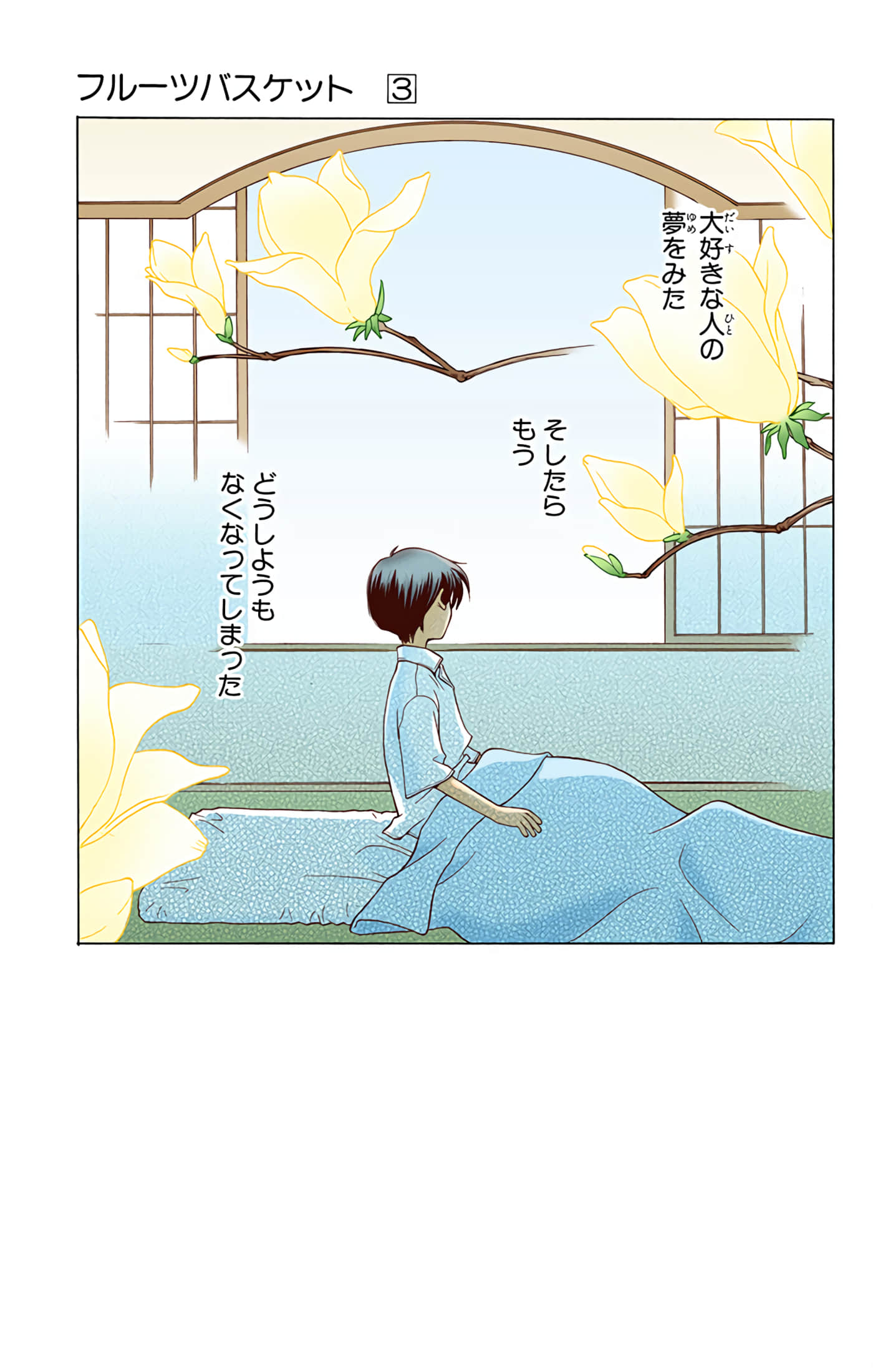 水果篮子 全彩【1-23卷 2-23是生肉 第1卷是文本替换】【フルーツバスケット／魔法水果籃】【已完结】-3