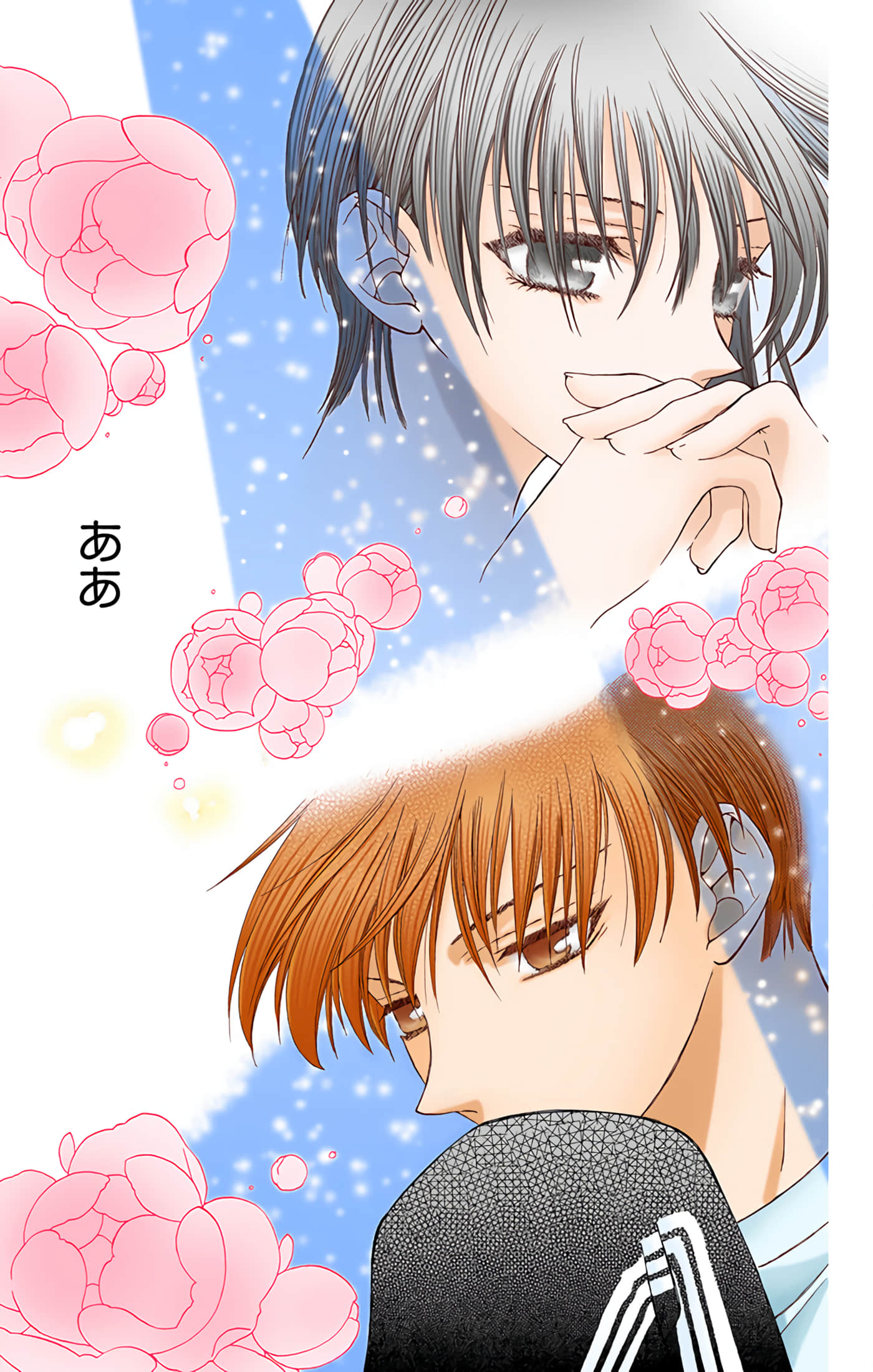 水果篮子 全彩【1-23卷 2-23是生肉 第1卷是文本替换】【フルーツバスケット／魔法水果籃】【已完结】-3