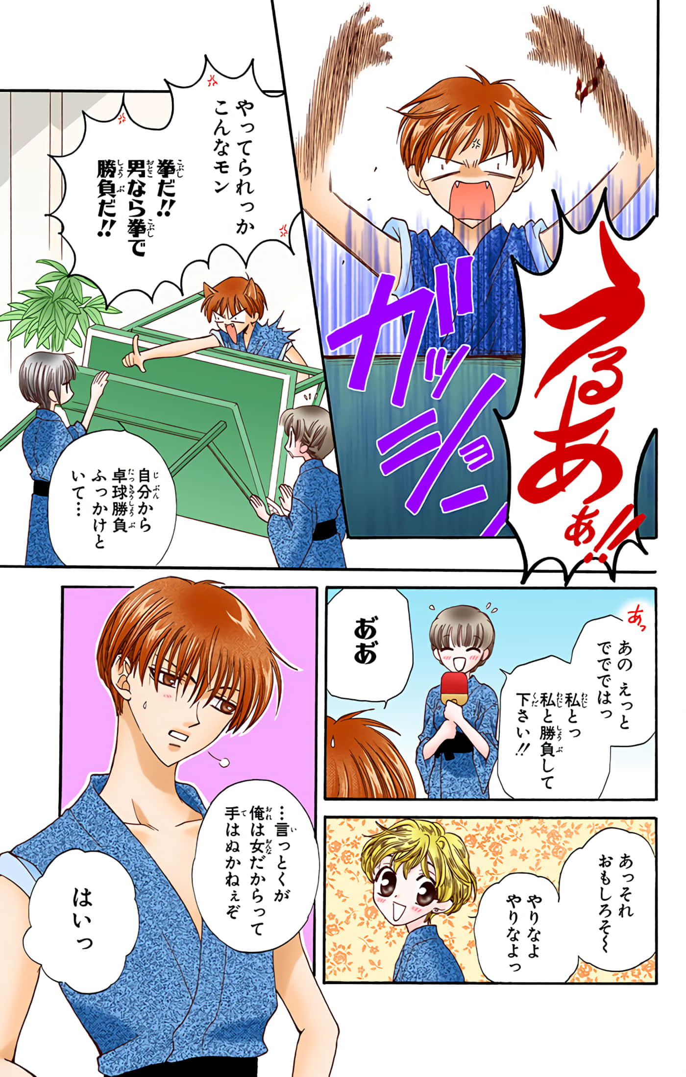 水果篮子 全彩【1-23卷 2-23是生肉 第1卷是文本替换】【フルーツバスケット／魔法水果籃】【已完结】-3