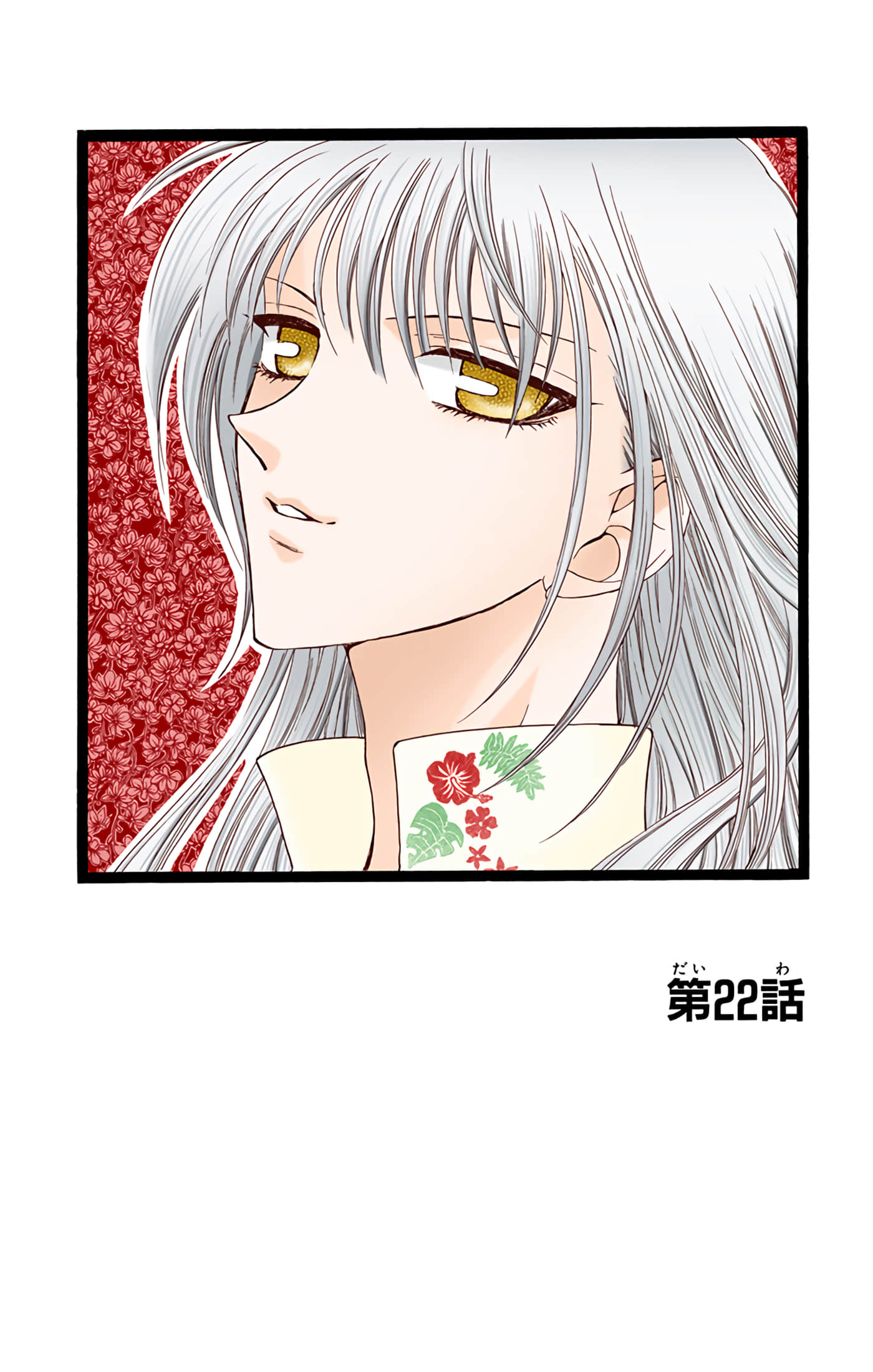 水果篮子 全彩【1-23卷 2-23是生肉 第1卷是文本替换】【フルーツバスケット／魔法水果籃】【已完结】-4