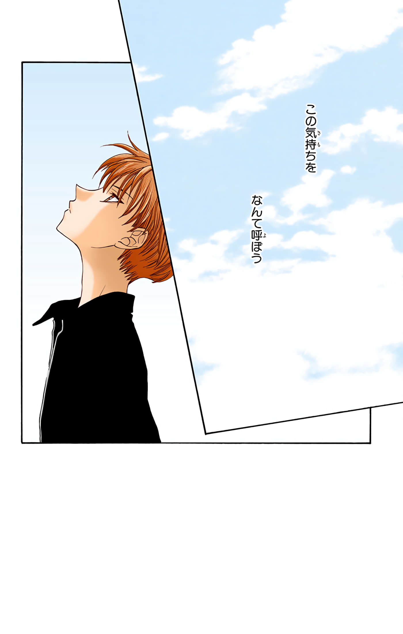 水果篮子 全彩【1-23卷 2-23是生肉 第1卷是文本替换】【フルーツバスケット／魔法水果籃】【已完结】-4