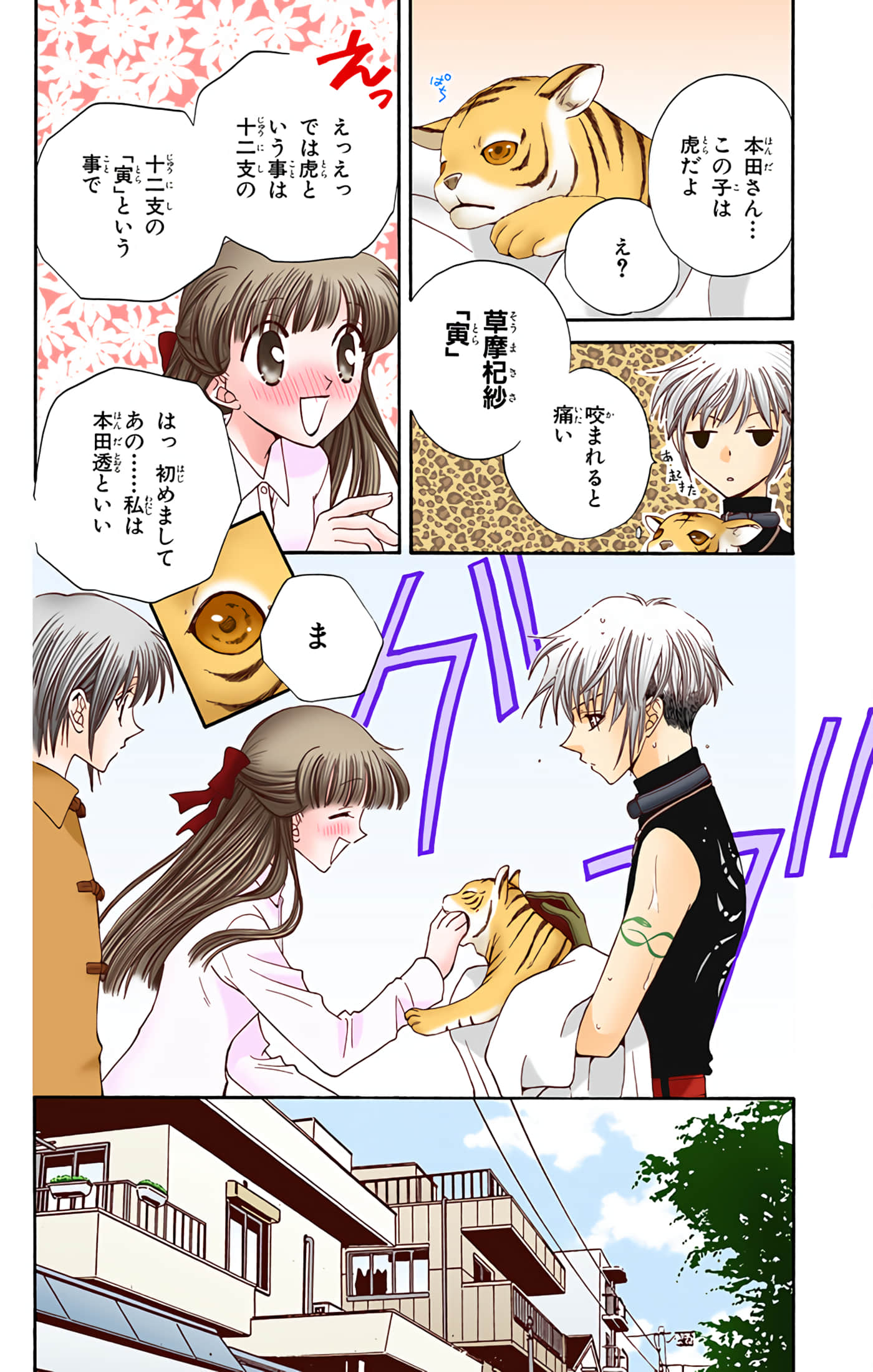 水果篮子 全彩【1-23卷 2-23是生肉 第1卷是文本替换】【フルーツバスケット／魔法水果籃】【已完结】-5