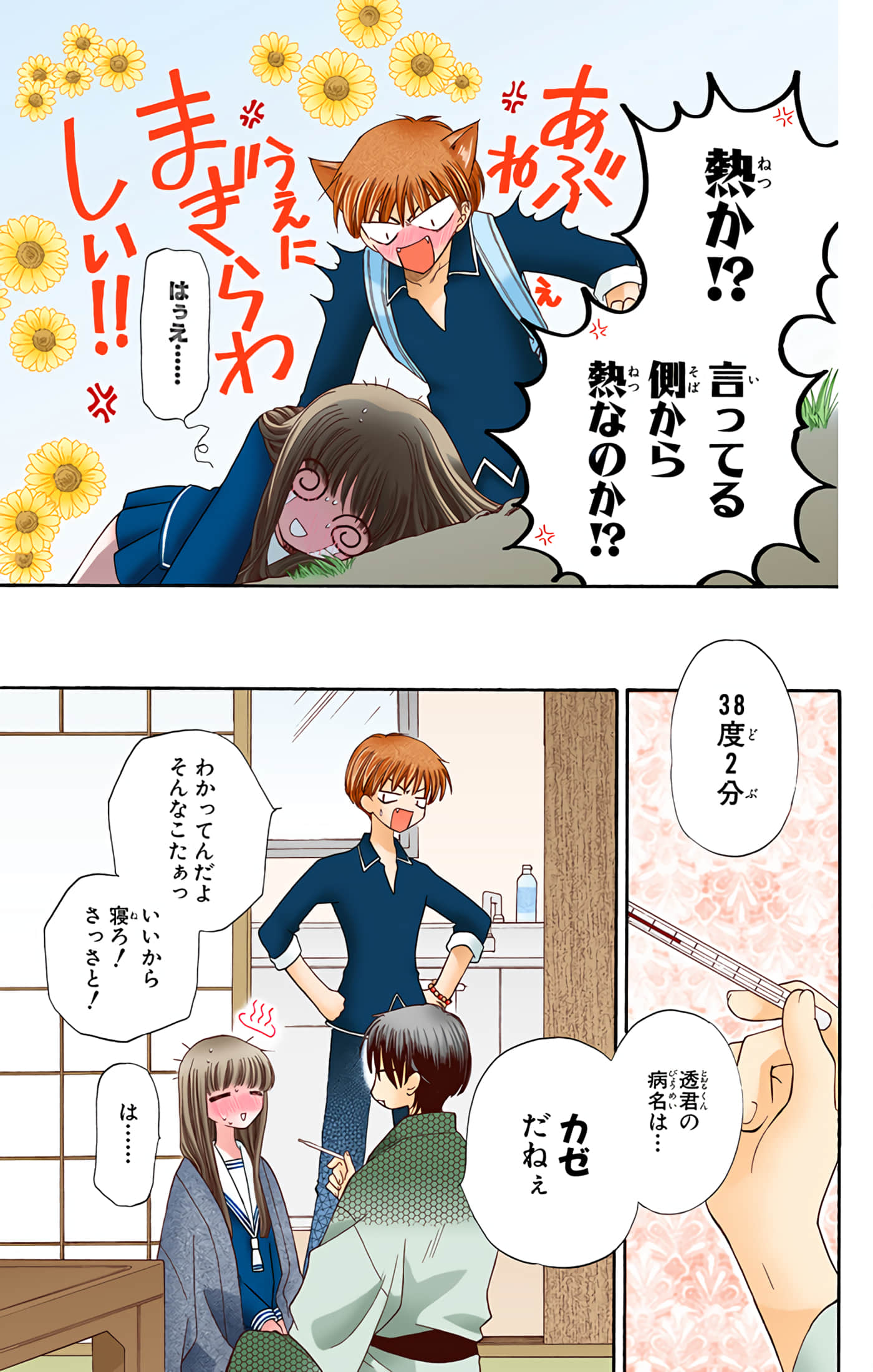 水果篮子 全彩【1-23卷 2-23是生肉 第1卷是文本替换】【フルーツバスケット／魔法水果籃】【已完结】-5