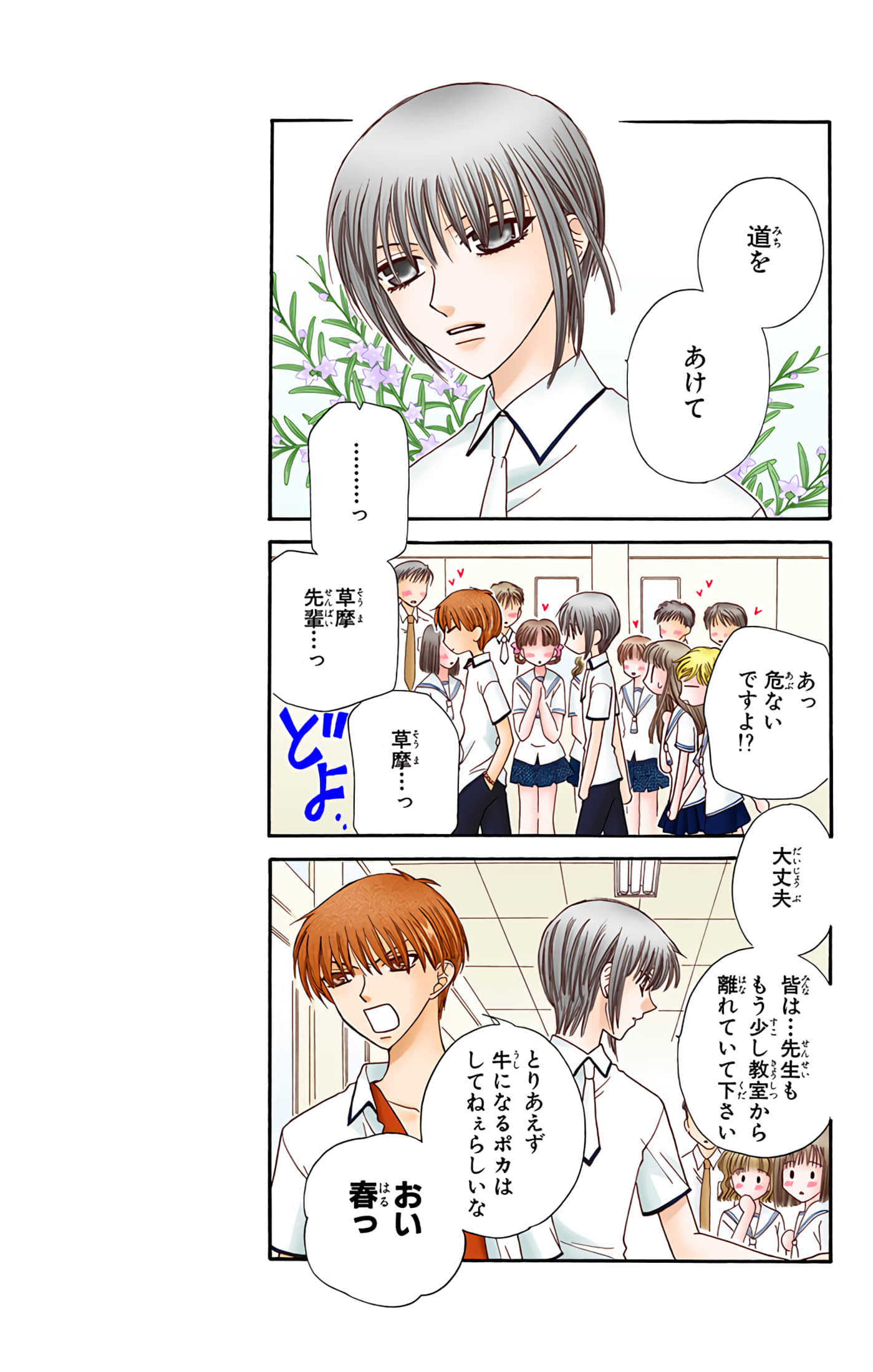 水果篮子 全彩【1-23卷 2-23是生肉 第1卷是文本替换】【フルーツバスケット／魔法水果籃】【已完结】-8