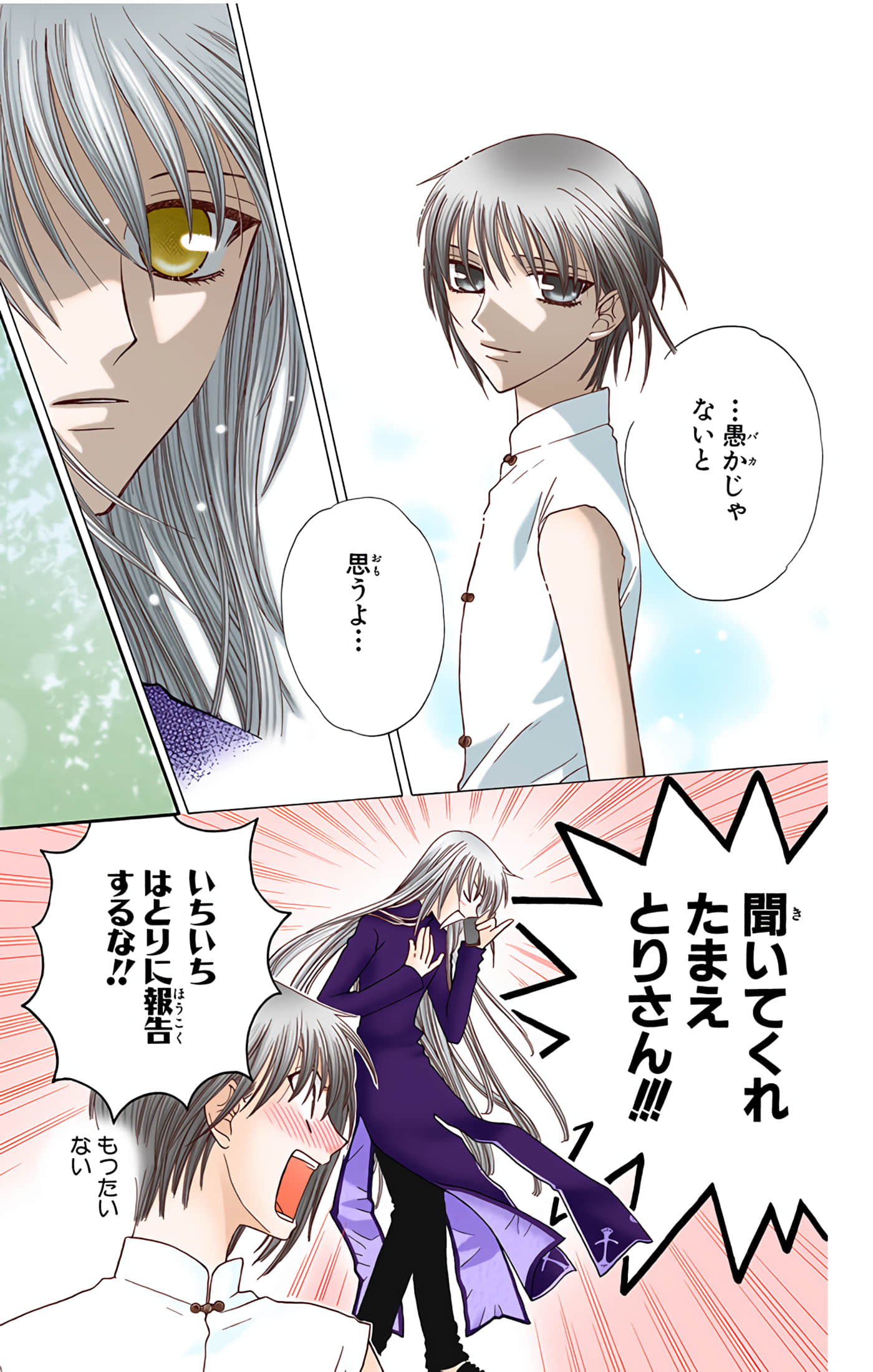 水果篮子 全彩【1-23卷 2-23是生肉 第1卷是文本替换】【フルーツバスケット／魔法水果籃】【已完结】-8