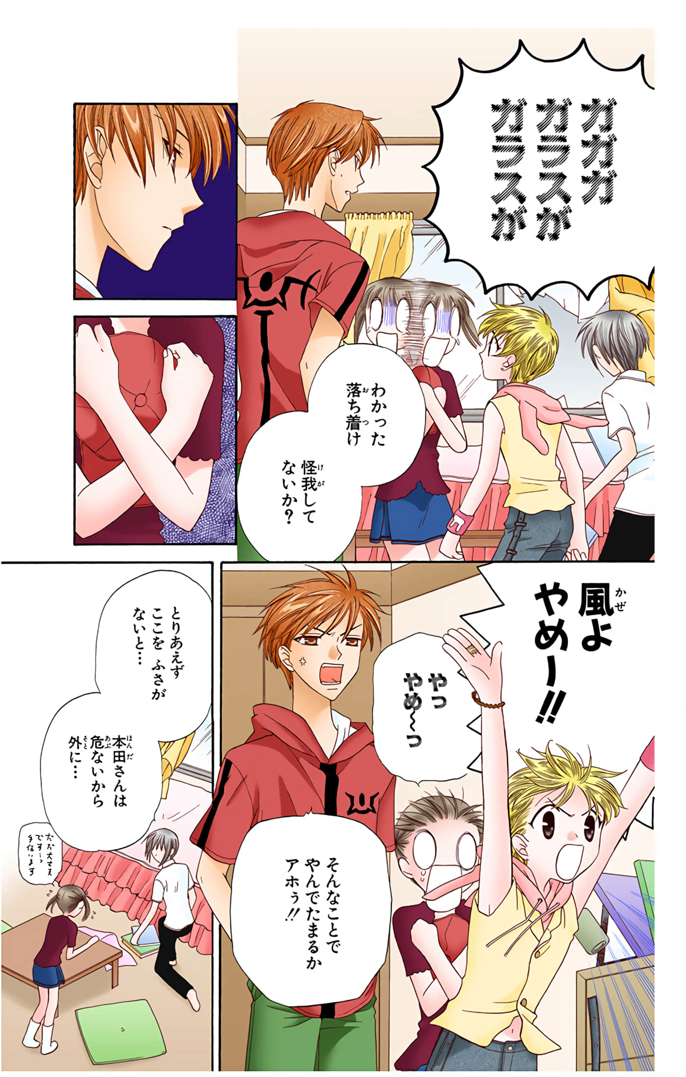 水果篮子 全彩【1-23卷 2-23是生肉 第1卷是文本替换】【フルーツバスケット／魔法水果籃】【已完结】-9